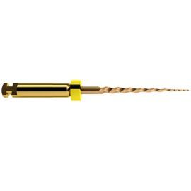 Dentsply Protaper Gold SX  - 19Mm - Pack Of 6